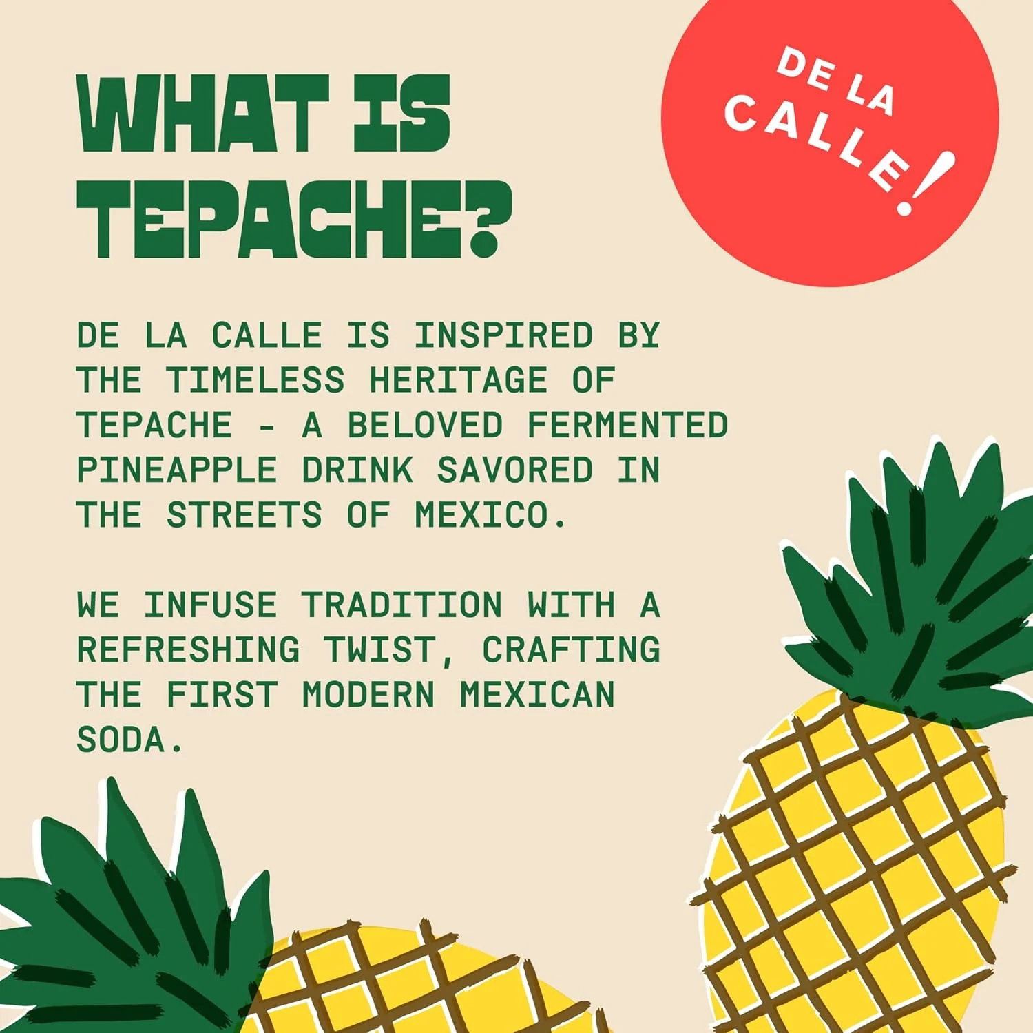De La Calle Tepache Modern Mexican Soda, Pineapple Spice, 12oz (Pack of 12) - Image 6