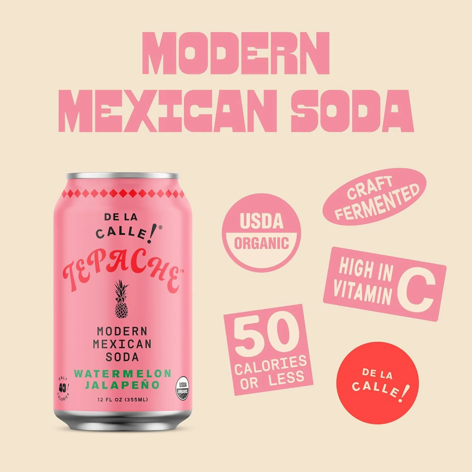 De La Calle Tepache Modern Mexican Soda, Watermelon Jalapeno, 12oz (Pack of 12) - Image 3