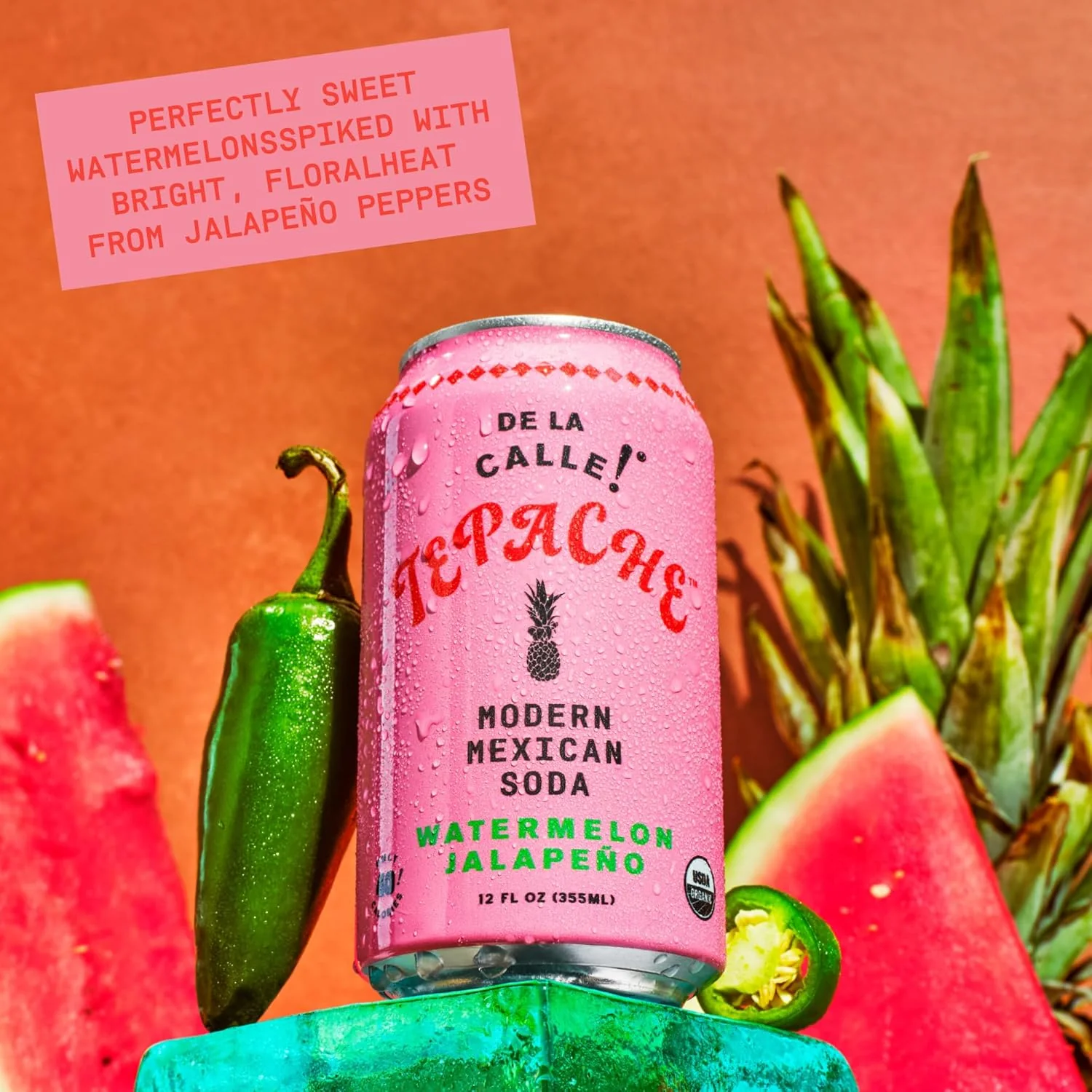 De La Calle Tepache Modern Mexican Soda, Watermelon Jalapeno, 12oz (Pack of 12) - Image 4