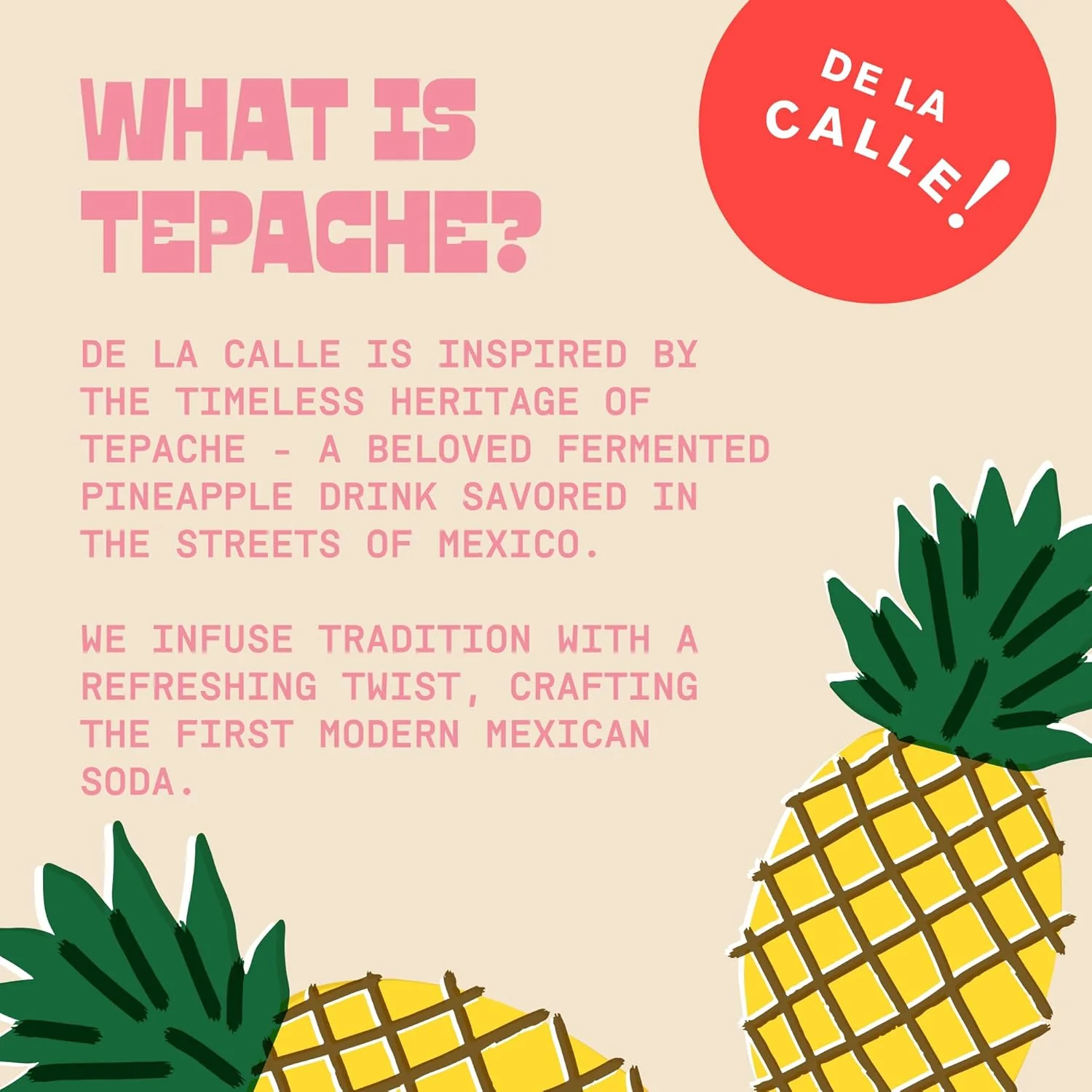 De La Calle Tepache Modern Mexican Soda, Watermelon Jalapeno, 12oz (Pack of 12) - Image 6