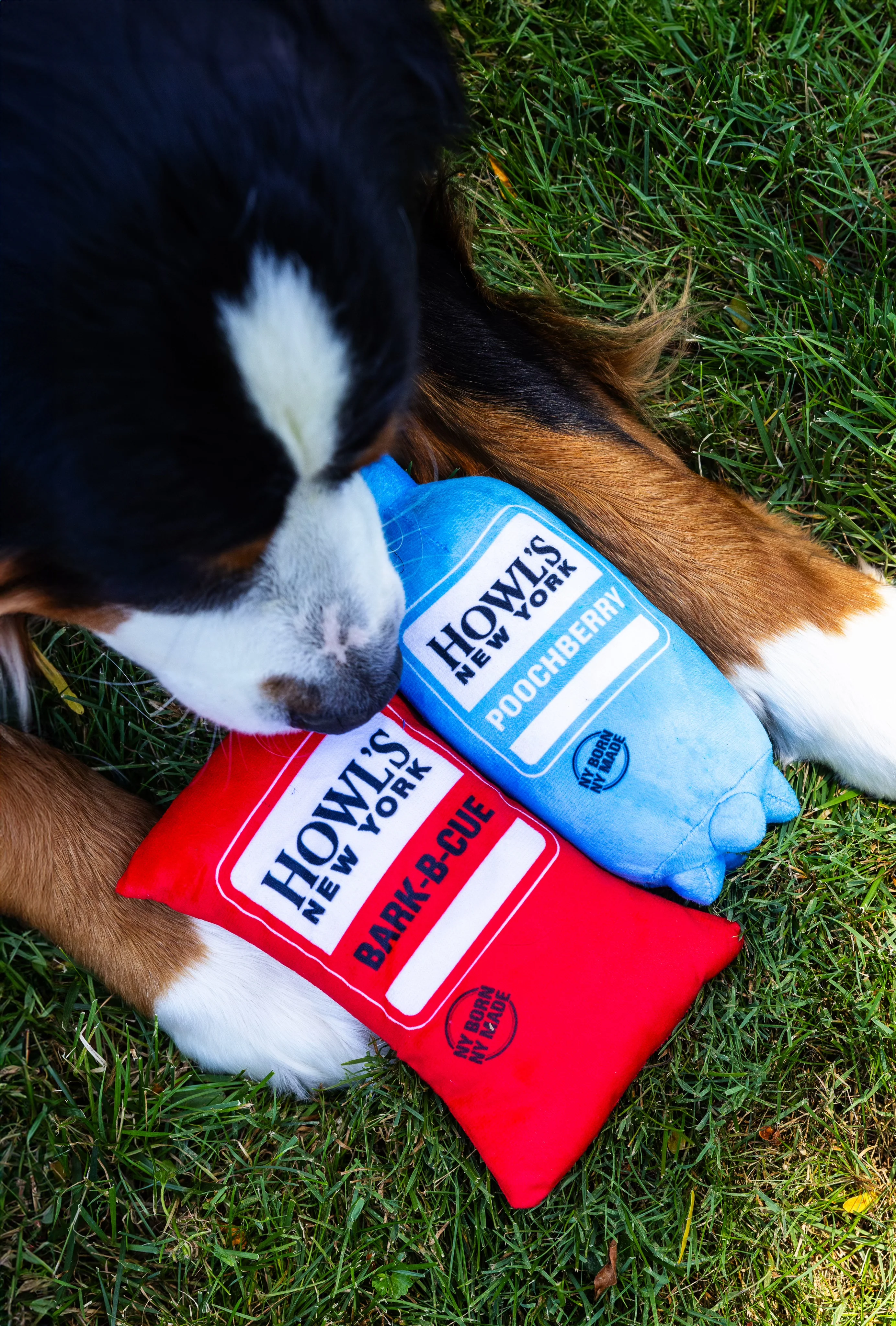 Hal's New York Dog Toys - Image 2