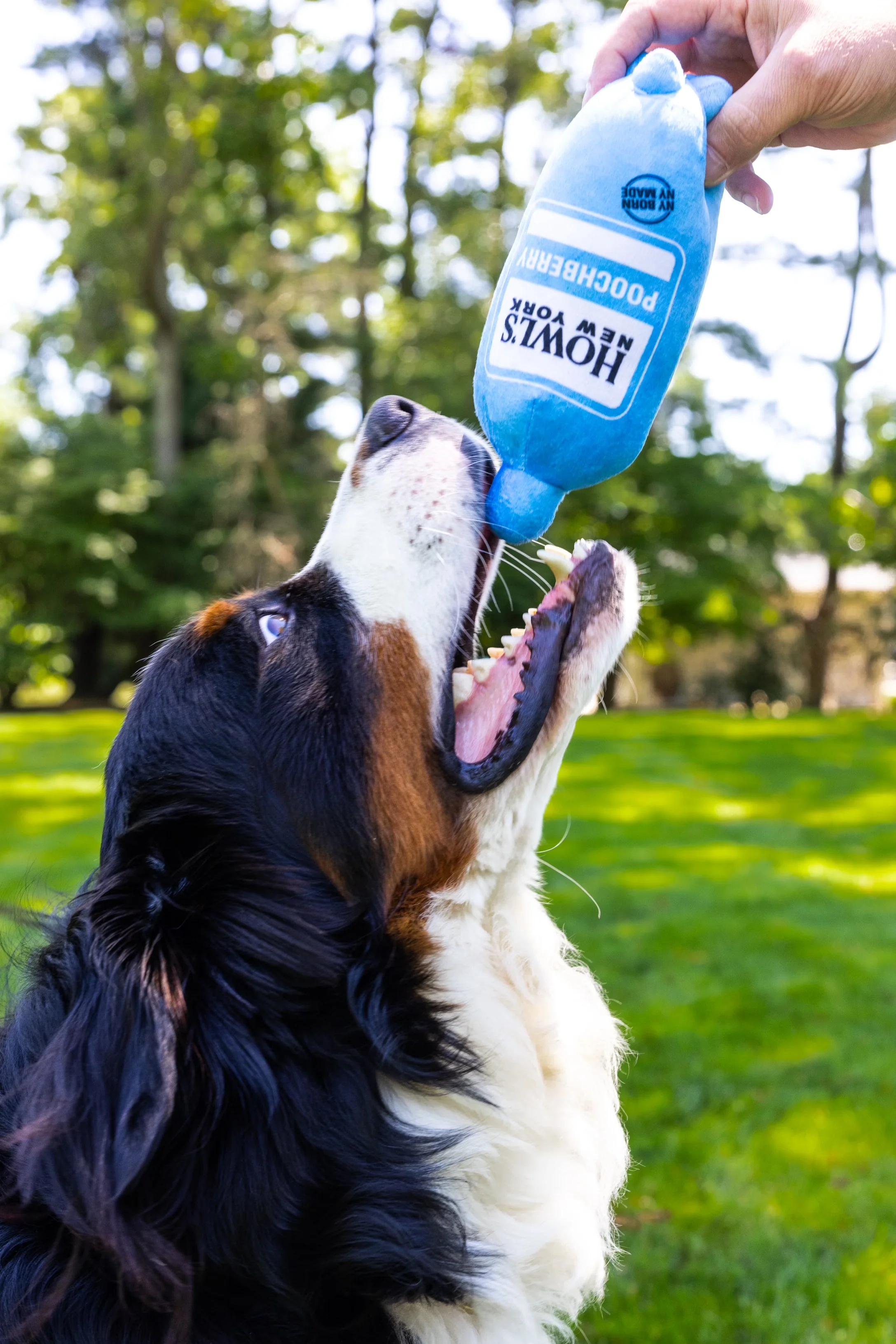 Hal's New York Dog Toys - Image 4