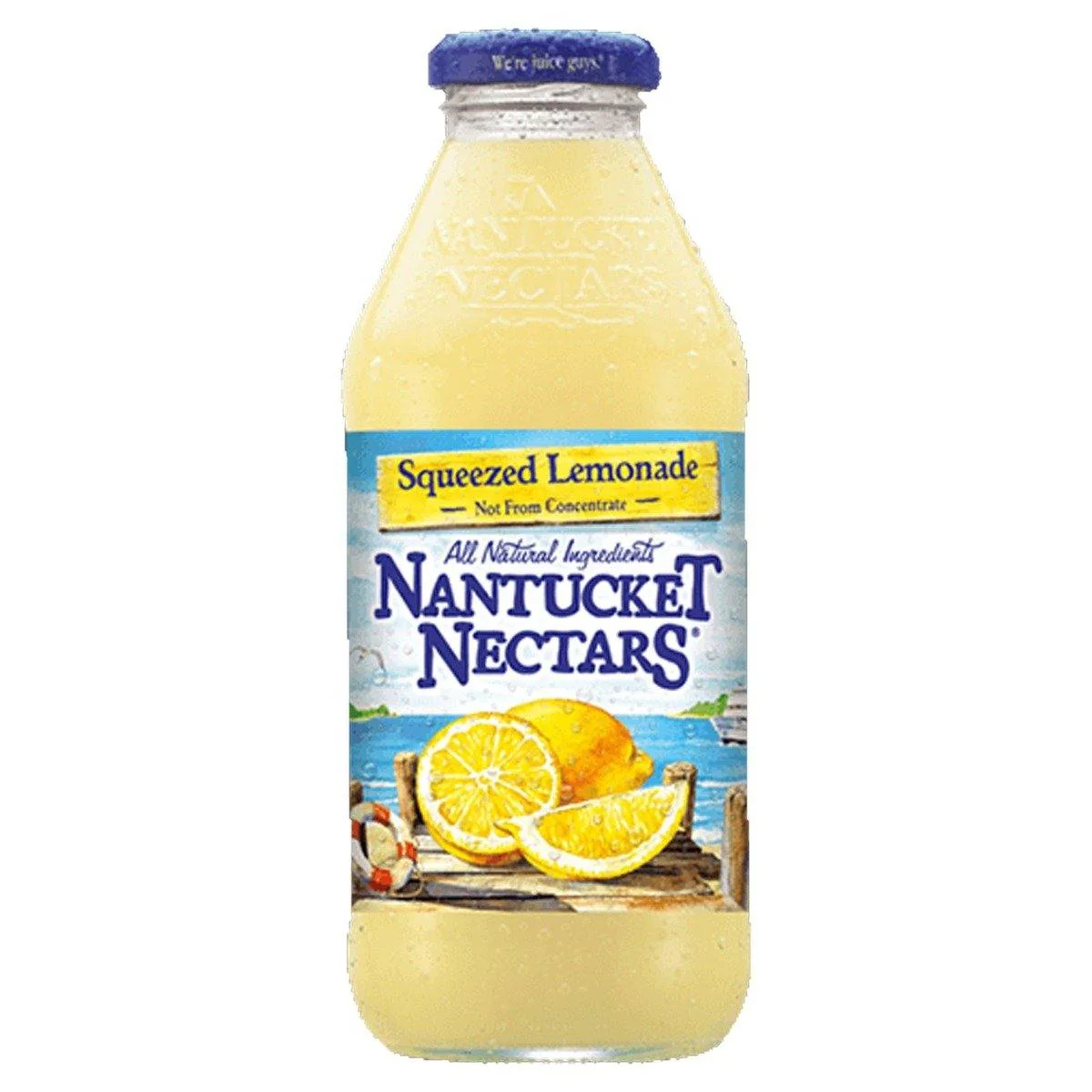 Nantucket Nectars All Natural Juice, Squeezed Lemonade, 16oz (Pack of 12)
